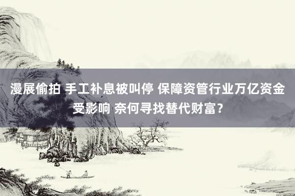 漫展偷拍 手工补息被叫停 保障资管行业万亿资金受影响 奈何寻找替代财富？