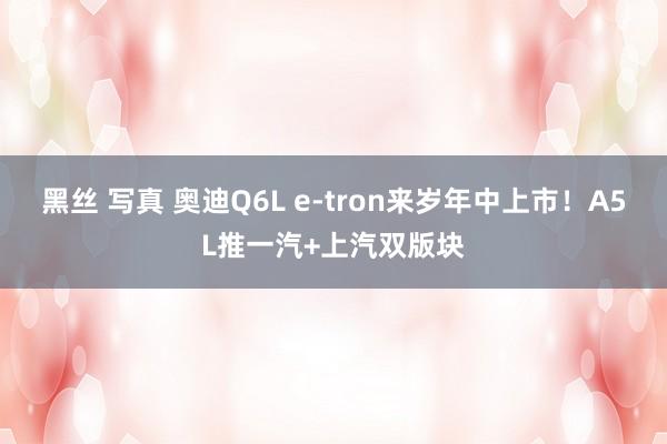 黑丝 写真 奥迪Q6L e-tron来岁年中上市！A5L推一汽+上汽双版块