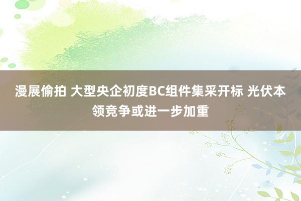 漫展偷拍 大型央企初度BC组件集采开标 光伏本领竞争或进一步加重