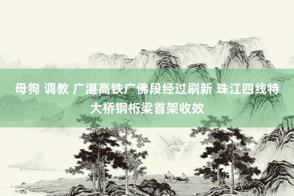 母狗 调教 广湛高铁广佛段经过刷新 珠江四线特大桥钢桁梁首架收效