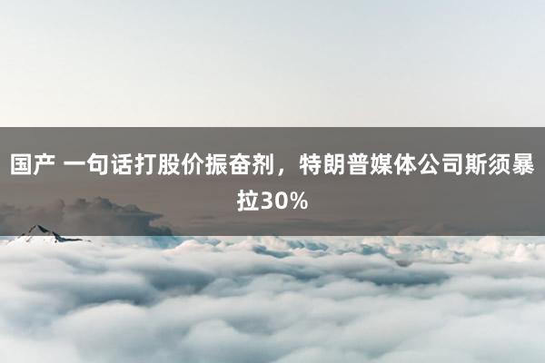 国产 一句话打股价振奋剂，特朗普媒体公司斯须暴拉30%