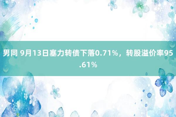 男同 9月13日塞力转债下落0.71%，转股溢价率95.61%