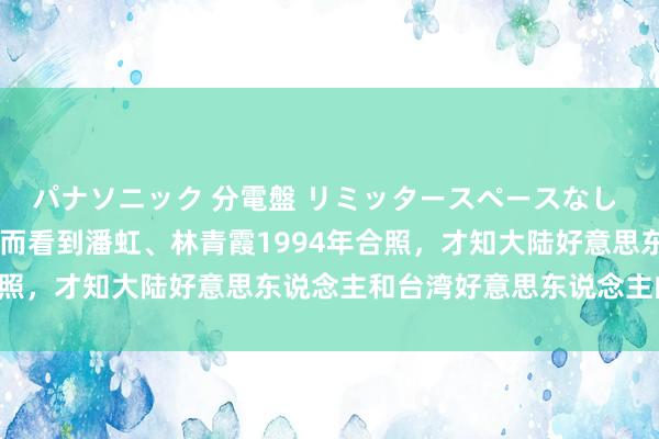 パナソニック 分電盤 リミッタースペースなし 露出・半埋込両用形 偶而看到潘虹、林青霞1994年合照，才知大陆好意思东说念主和台湾好意思东说念主的不同