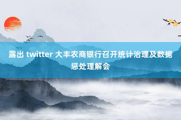 露出 twitter 大丰农商银行召开统计治理及数据惩处理解会