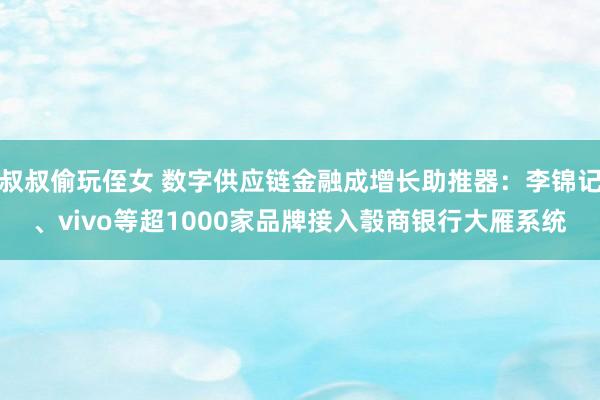 叔叔偷玩侄女 数字供应链金融成增长助推器：李锦记、vivo等超1000家品牌接入彀商银行大雁系统