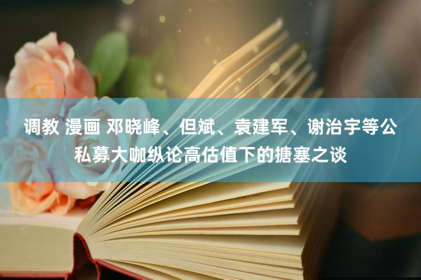 调教 漫画 邓晓峰、但斌、袁建军、谢治宇等公私募大咖纵论高估值下的搪塞之谈