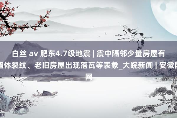 白丝 av 肥东4.7级地震 | 震中隔邻少量房屋有墙体裂纹、老旧房屋出现落瓦等表象_大皖新闻 | 安徽网