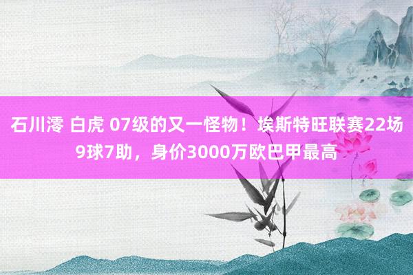 石川澪 白虎 07级的又一怪物！埃斯特旺联赛22场9球7助，身价3000万欧巴甲最高