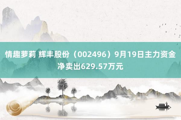 情趣萝莉 辉丰股份（002496）9月19日主力资金净卖出629.57万元