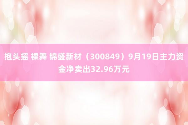 抱头摇 裸舞 锦盛新材（300849）9月19日主力资金净卖出32.96万元