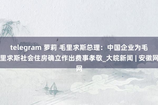 telegram 萝莉 毛里求斯总理：中国企业为毛里求斯社会住房确立作出费事孝敬_大皖新闻 | 安徽网