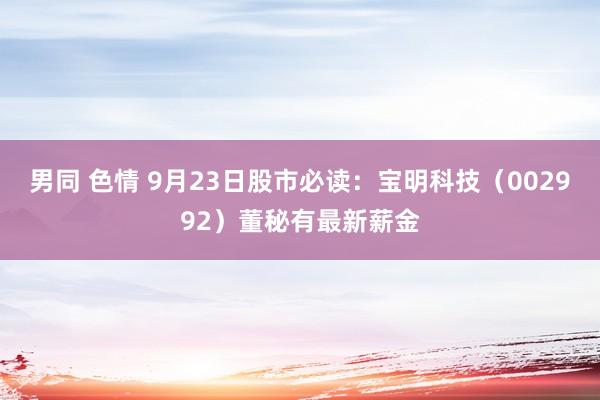 男同 色情 9月23日股市必读：宝明科技（002992）董秘有最新薪金