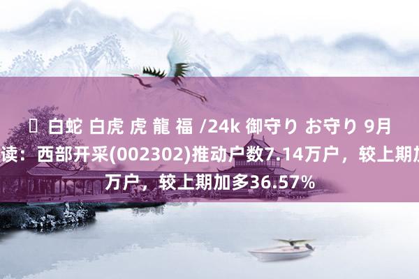 ✨白蛇 白虎 虎 龍 福 /24k 御守り お守り 9月23日股市必读：西部开采(002302)推动户数7.14万户，较上期加多36.57%