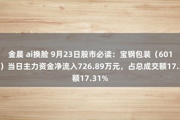 金晨 ai换脸 9月23日股市必读：宝钢包装（601968）当日主力资金净流入726.89万元，占总成交额17.31%