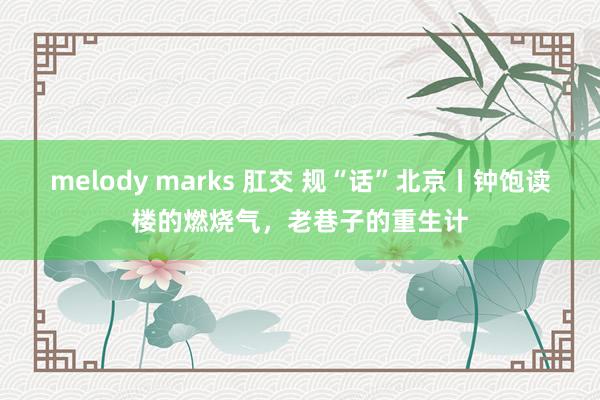 melody marks 肛交 规“话”北京丨钟饱读楼的燃烧气，老巷子的重生计