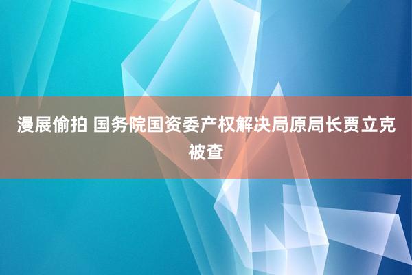 漫展偷拍 国务院国资委产权解决局原局长贾立克被查