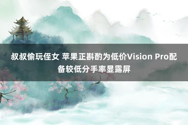 叔叔偷玩侄女 苹果正斟酌为低价Vision Pro配备较低分手率显露屏