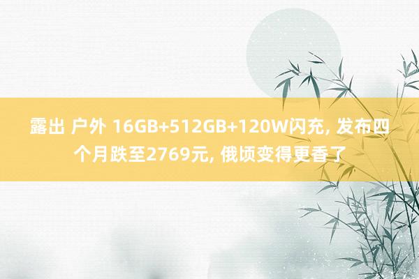 露出 户外 16GB+512GB+120W闪充, 发布四个月跌至2769元, 俄顷变得更香了