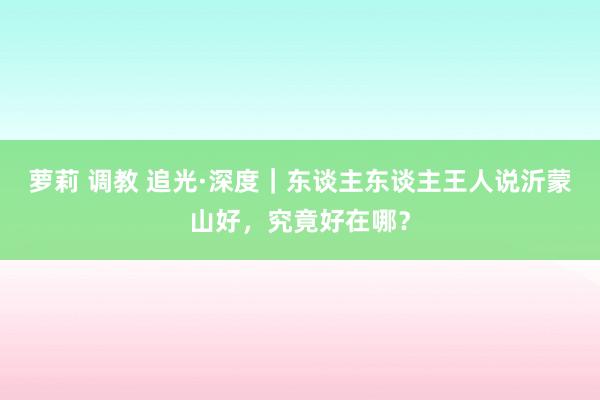 萝莉 调教 追光·深度｜东谈主东谈主王人说沂蒙山好，究竟好在哪？