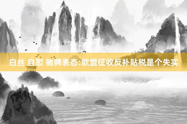 白丝 自慰 驰骋表态:欧盟征收反补贴税是个失实