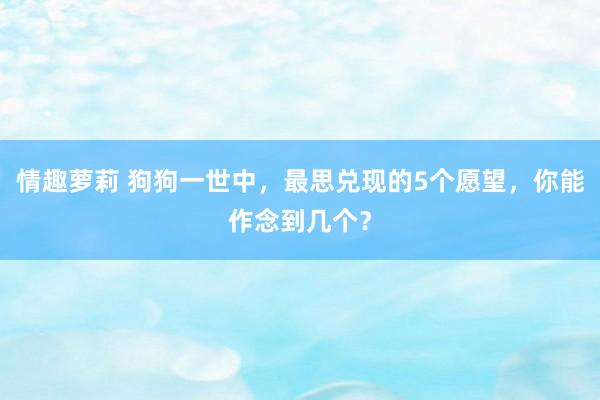 情趣萝莉 狗狗一世中，最思兑现的5个愿望，你能作念到几个？