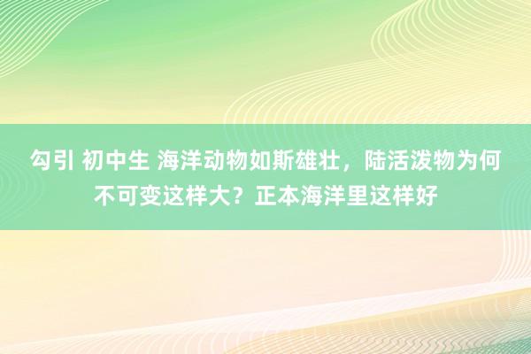 勾引 初中生 海洋动物如斯雄壮，陆活泼物为何不可变这样大？正本海洋里这样好