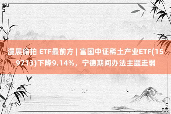 漫展偷拍 ETF最前方 | 富国中证稀土产业ETF(159713)下降9.14%，宁德期间办法主题走弱