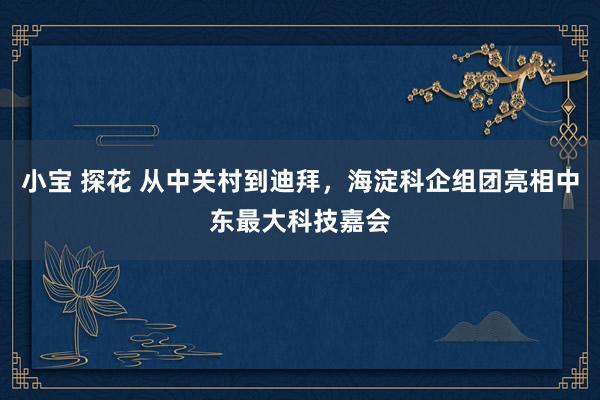 小宝 探花 从中关村到迪拜，海淀科企组团亮相中东最大科技嘉会