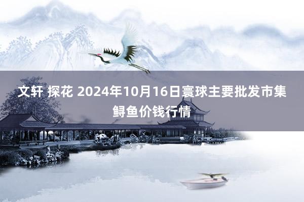 文轩 探花 2024年10月16日寰球主要批发市集鲟鱼价钱行情