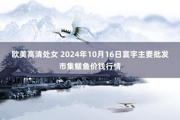 欧美高清处女 2024年10月16日寰宇主要批发市集鲅鱼价钱行情