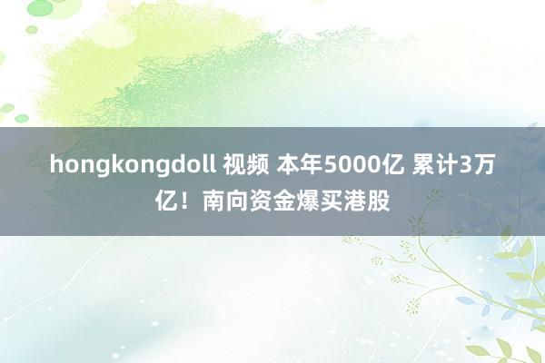 hongkongdoll 视频 本年5000亿 累计3万亿！南向资金爆买港股