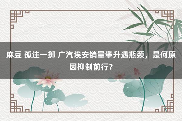 麻豆 孤注一掷 广汽埃安销量攀升遇瓶颈，是何原因抑制前行？