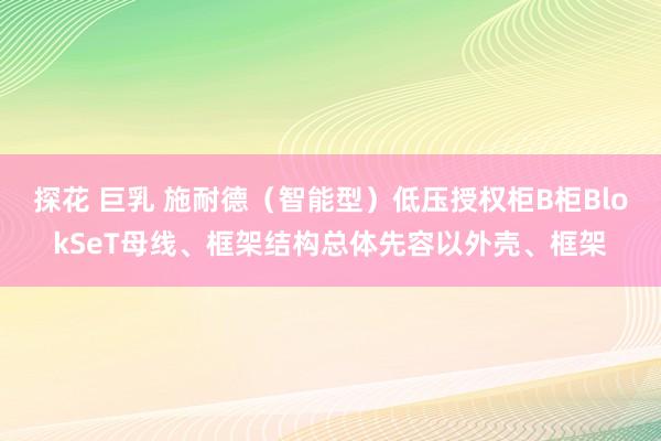 探花 巨乳 施耐德（智能型）低压授权柜B柜BlokSeT母线、框架结构总体先容以外壳、框架