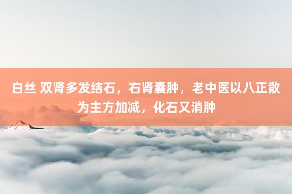 白丝 双肾多发结石，右肾囊肿，老中医以八正散为主方加减，化石又消肿