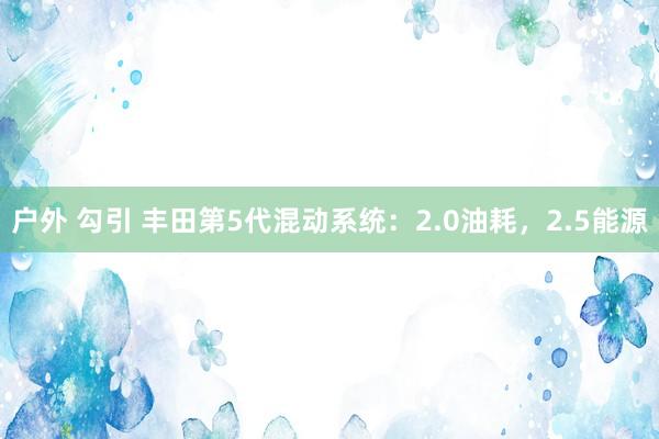 户外 勾引 丰田第5代混动系统：2.0油耗，2.5能源