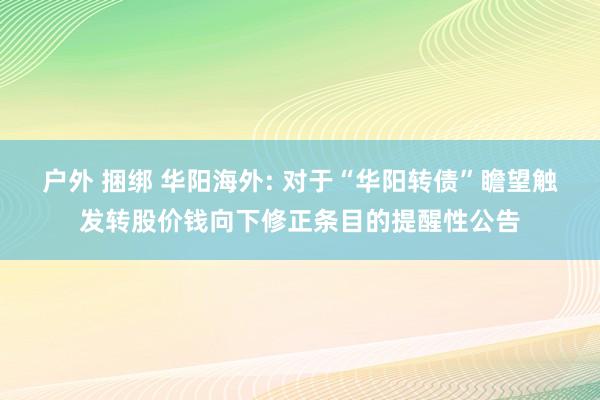 户外 捆绑 华阳海外: 对于“华阳转债”瞻望触发转股价钱向下修正条目的提醒性公告