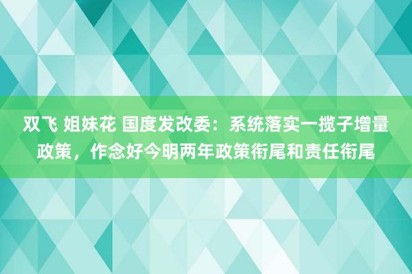 双飞 姐妹花 国度发改委：系统落实一揽子增量政策，作念好今明两年政策衔尾和责任衔尾