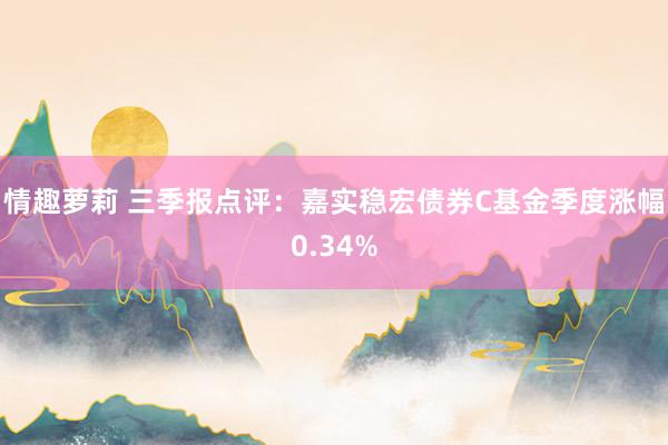 情趣萝莉 三季报点评：嘉实稳宏债券C基金季度涨幅0.34%