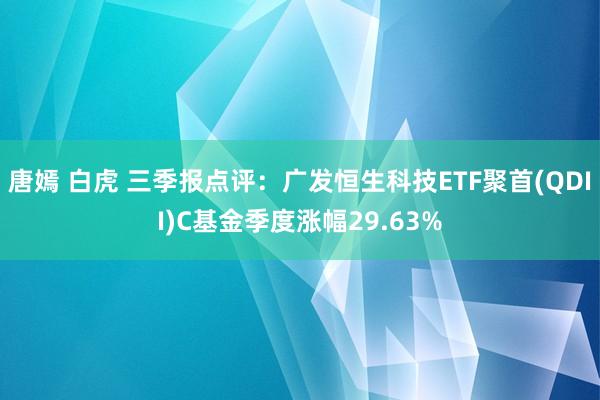 唐嫣 白虎 三季报点评：广发恒生科技ETF聚首(QDII)C基金季度涨幅29.63%