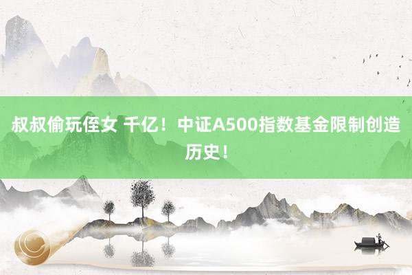 叔叔偷玩侄女 千亿！中证A500指数基金限制创造历史！