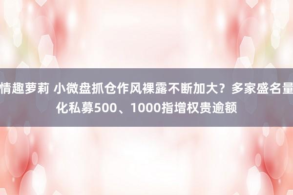 情趣萝莉 小微盘抓仓作风裸露不断加大？多家盛名量化私募500、1000指增权贵逾额