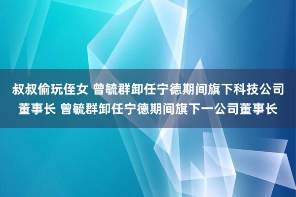 叔叔偷玩侄女 曾毓群卸任宁德期间旗下科技公司董事长 曾毓群卸任宁德期间旗下一公司董事长