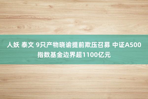 人妖 泰文 9只产物晓谕提前欺压召募 中证A500指数基金边界超1100亿元