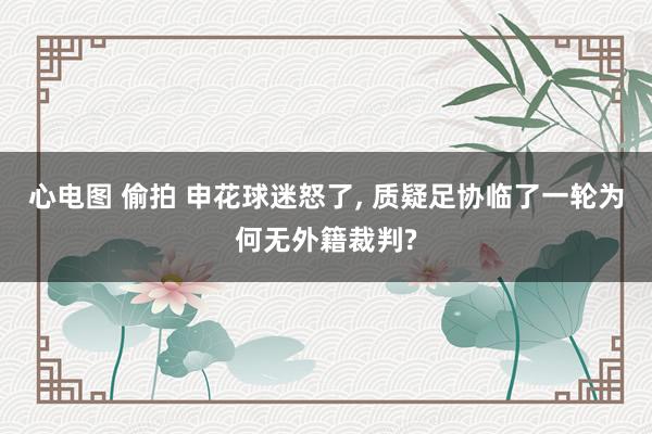 心电图 偷拍 申花球迷怒了， 质疑足协临了一轮为何无外籍裁判?