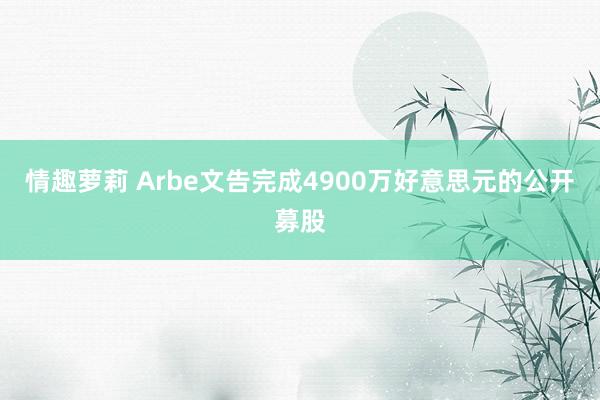 情趣萝莉 Arbe文告完成4900万好意思元的公开募股