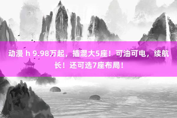 动漫 h 9.98万起，插混大5座！可油可电，续航长！还可选7座布局！