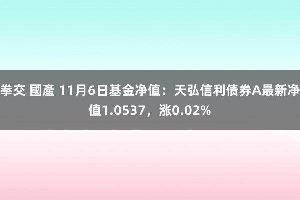 拳交 國產 11月6日基金净值：天弘信利债券A最新净值1.0537，涨0.02%