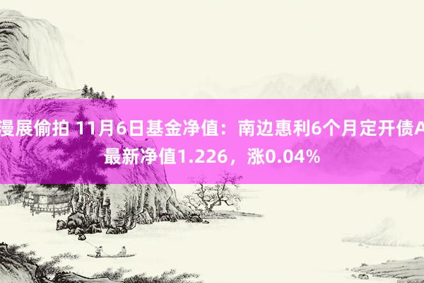 漫展偷拍 11月6日基金净值：南边惠利6个月定开债A最新净值1.226，涨0.04%