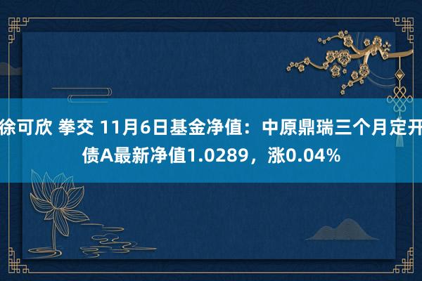 徐可欣 拳交 11月6日基金净值：中原鼎瑞三个月定开债A最新净值1.0289，涨0.04%