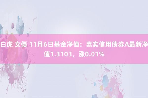 白虎 女優 11月6日基金净值：嘉实信用债券A最新净值1.3103，涨0.01%